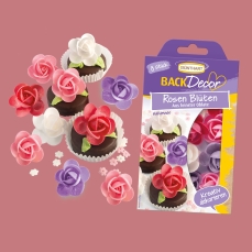 1546 00 Günthart BackDecor